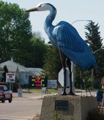 barrhead blue heron
