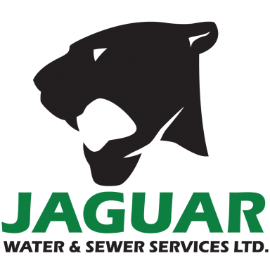 Jaguar Logo