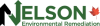 Nelson Logo